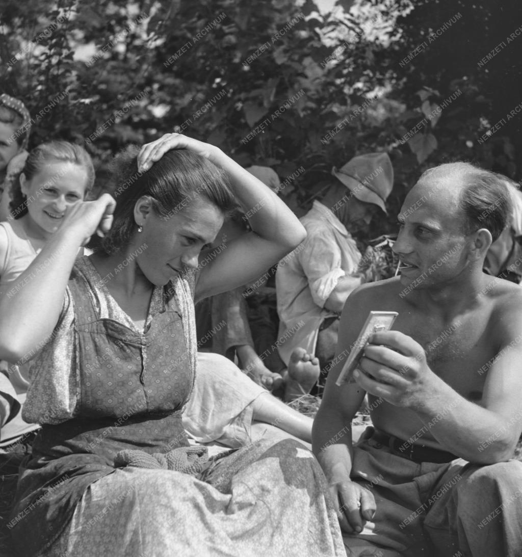 Mezőgazdaság - Aratás a pásztói Béke Tsz-ben