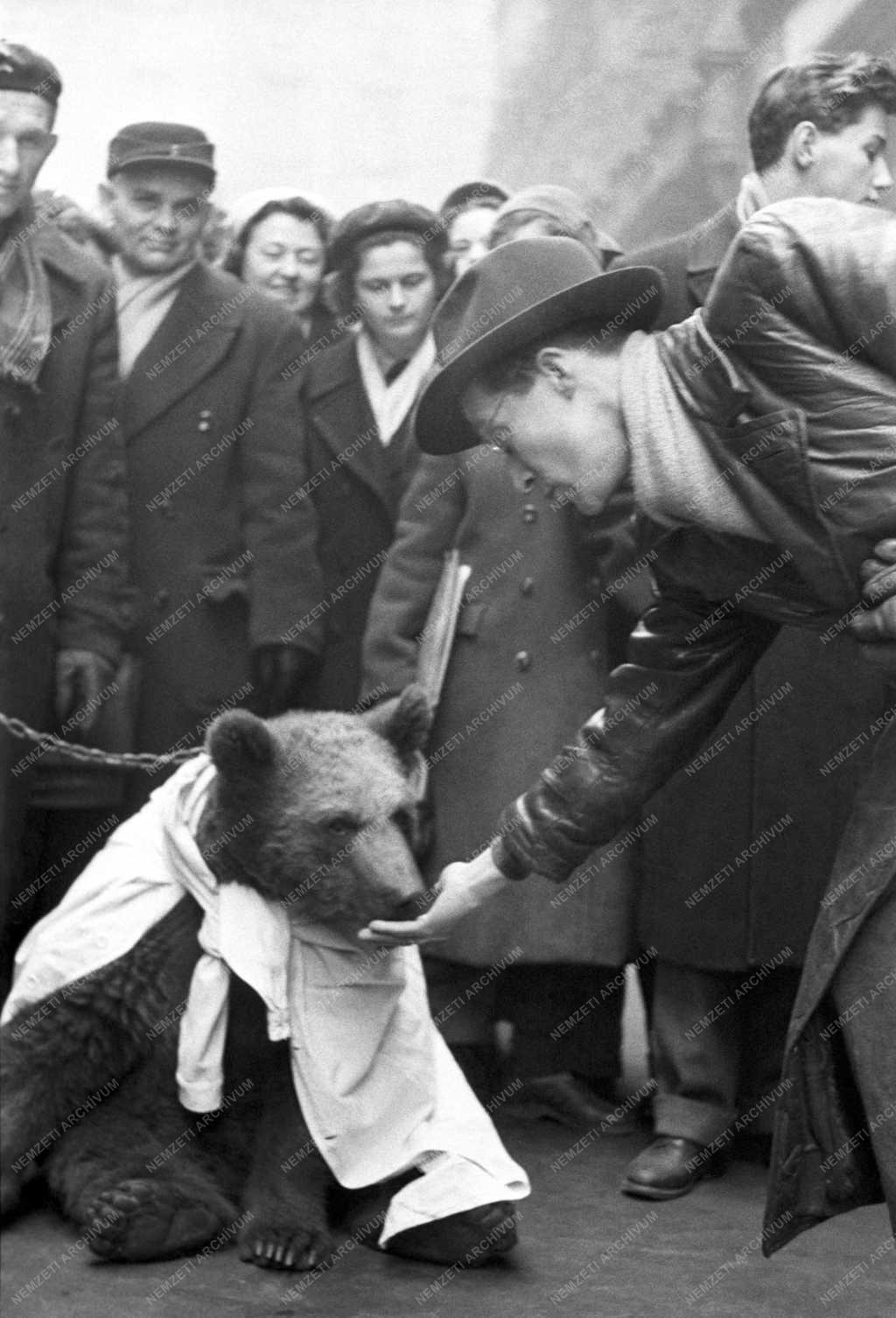 Évforduló -  Vendéglátás - Három éves a Mézes Mackó büfé