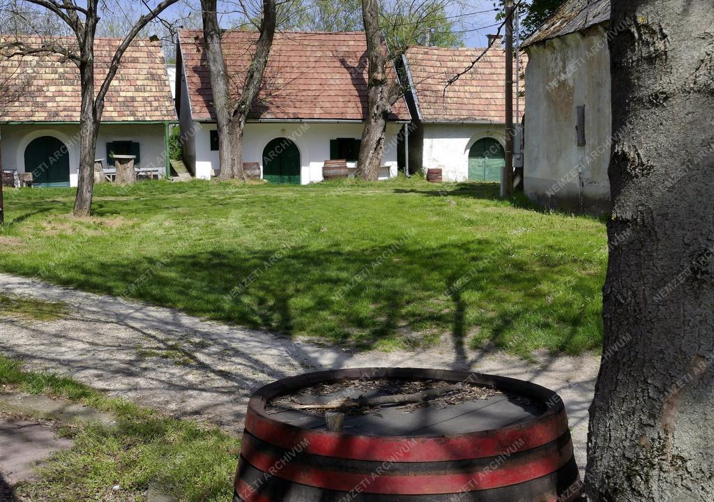 Település - Présházak és borospincék Tökön