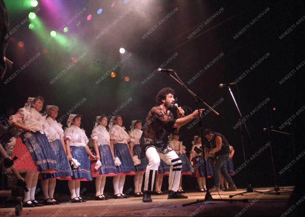 Könnyűzene - Jótékonysági koncert a Budapest Sportcsarnokban