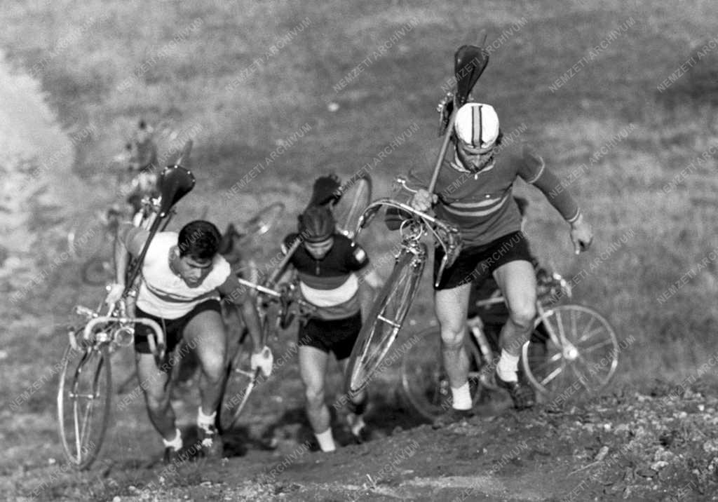 Sport - Kerékpáros Országos Terep Bajnokság