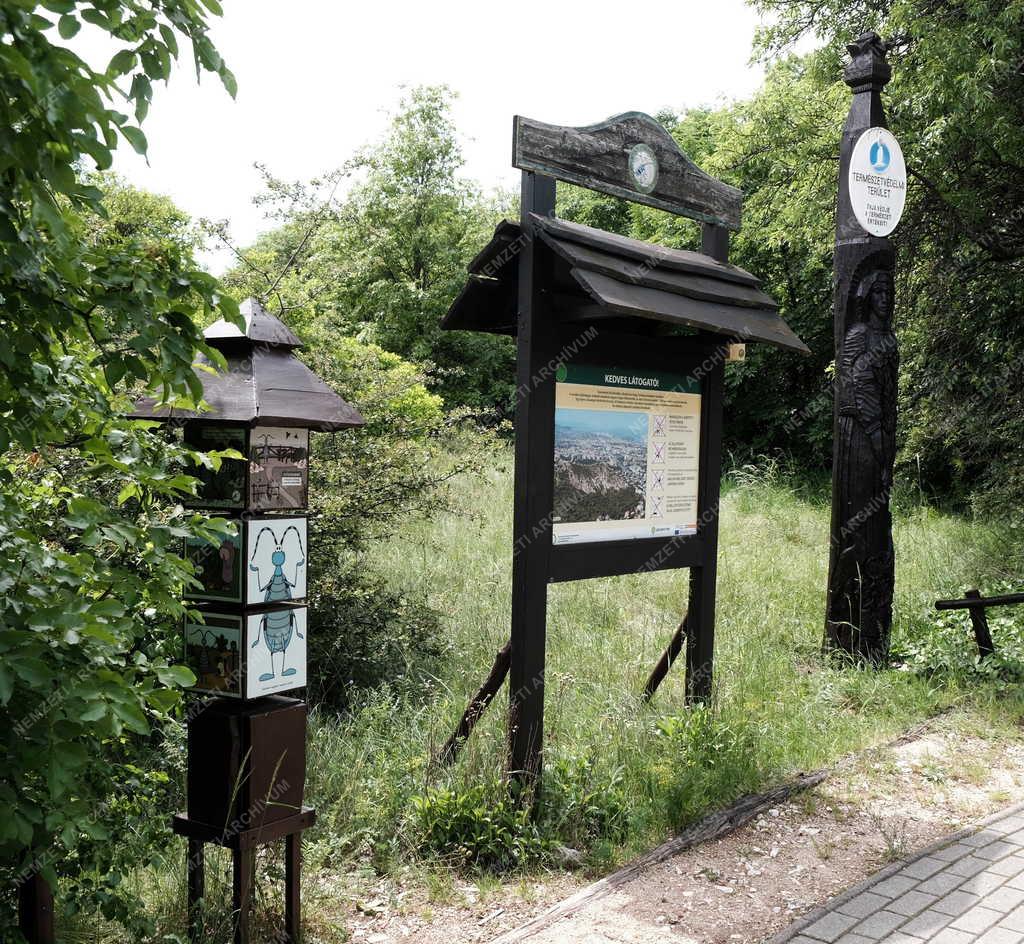 Természetvédelem - Budapest - Sas-hegy tanösvény