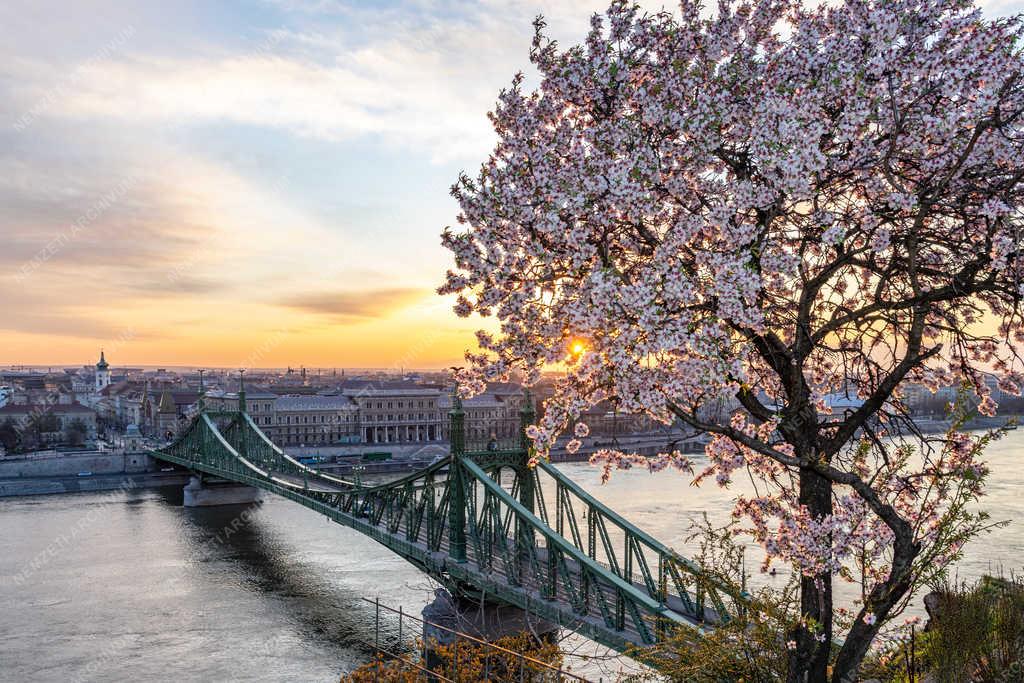 Városkép - Budapest - Napfelkelte a Gellért-hegyen