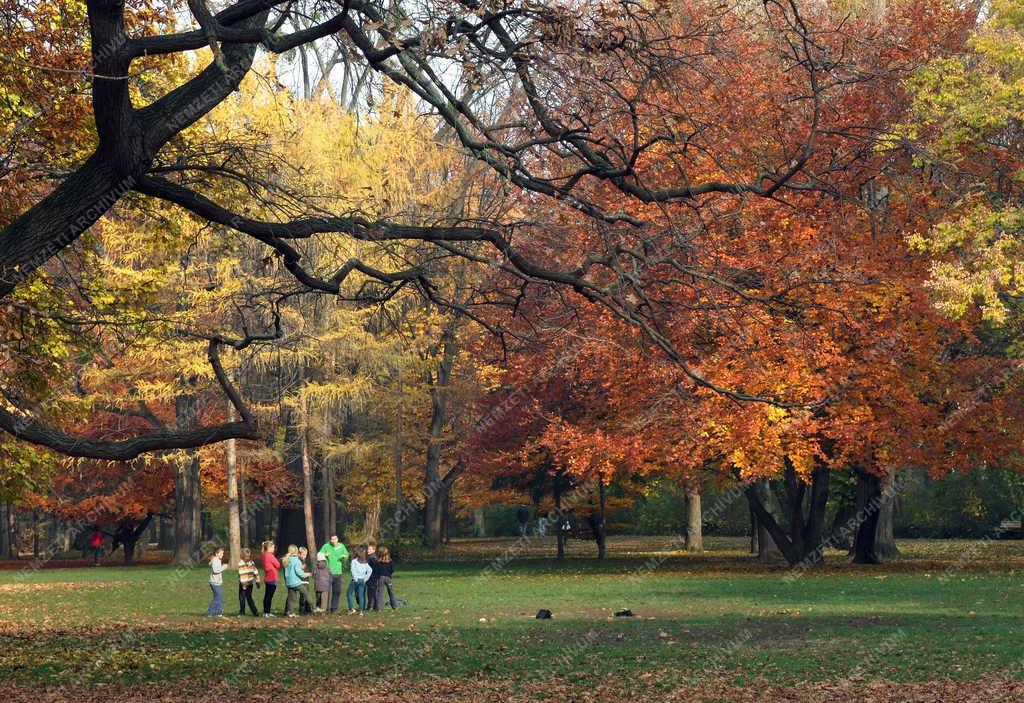 Természet - Park - Ősz a Margitszigeten