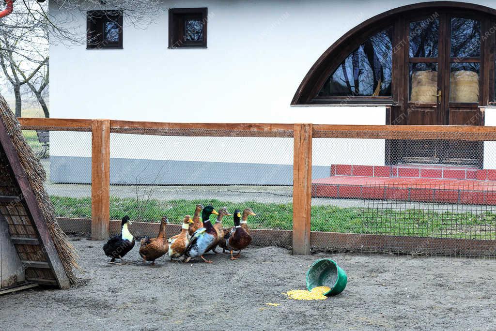 Idegenforgalom - Hortobágy - Állatpark felújítás 