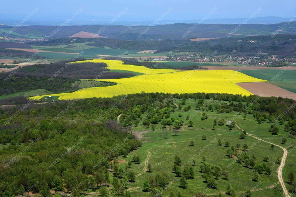 Tájkép - Szanda
