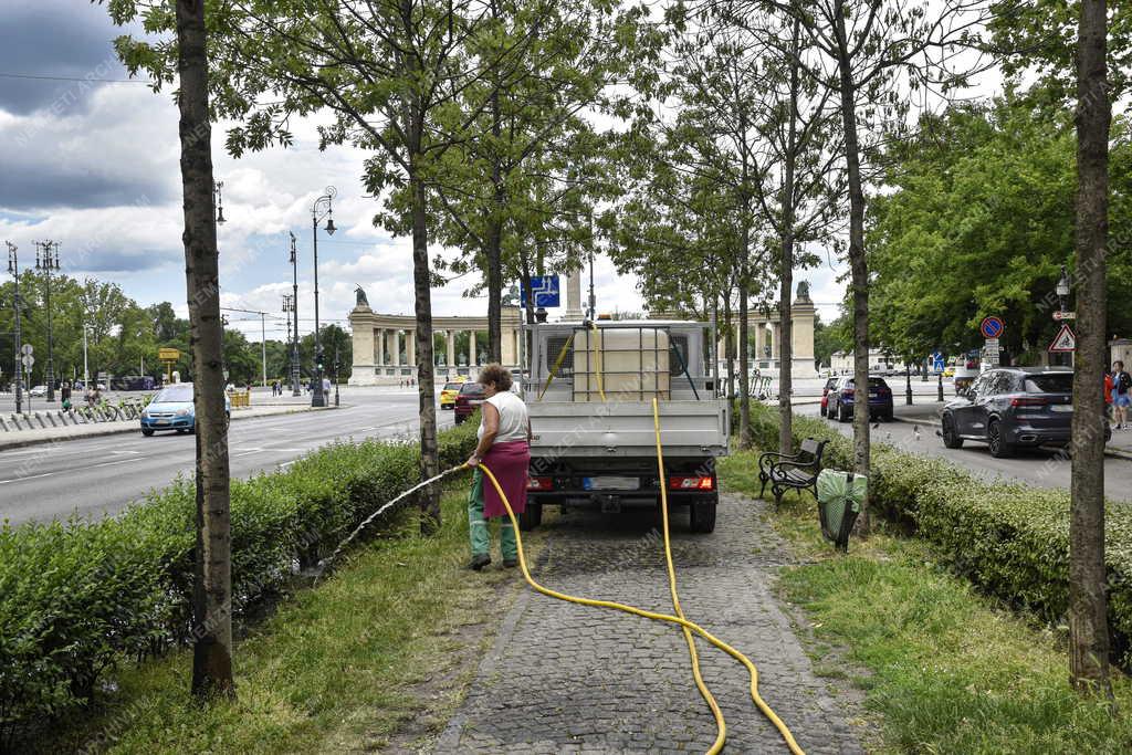 Környezetvédelem - Budapest - Sövény gondozás a Hősök terénél