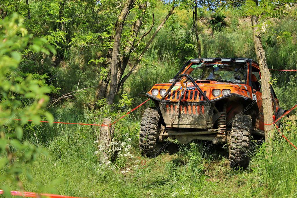 Sport - Kup - Off-Road 