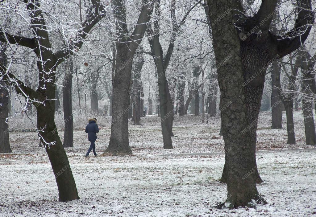 Természet - Budapest - Tél a Népligetben