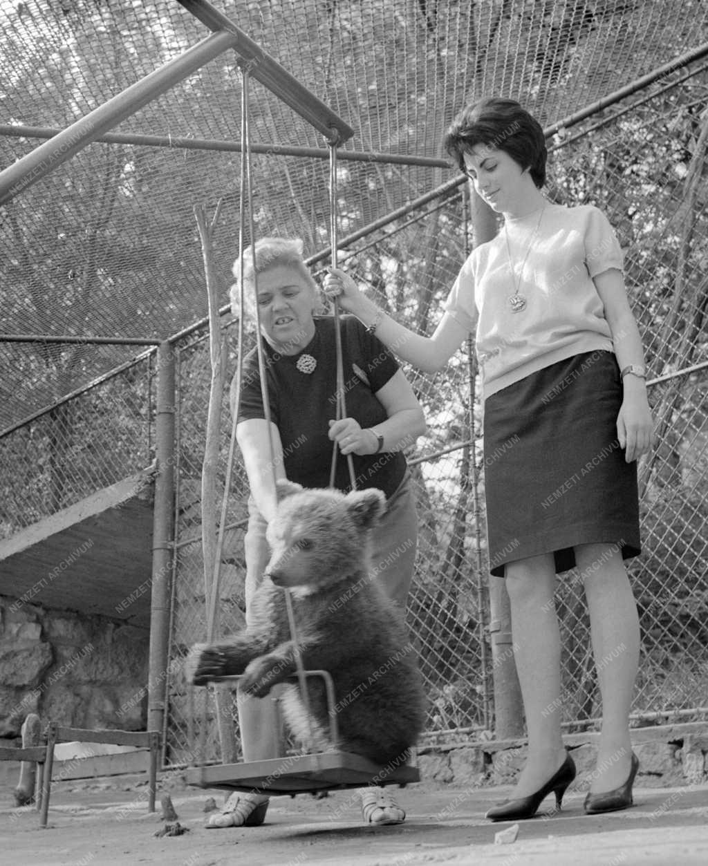 Állatvédelem - Állatszelidítés társadalmi munkában