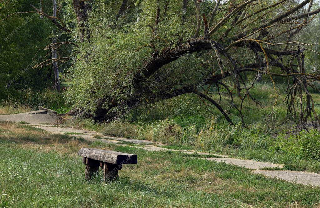 Természet - Időjárás - Kiszáradtak a tavak a debreceni Erdőspusztán