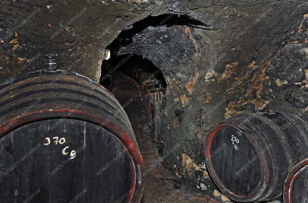 Borászat - Tokaj - Tokaji borospince