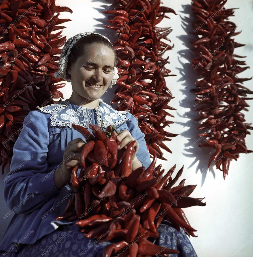 Hungarikum - Élelmiszeripar - Kalocsai paprika