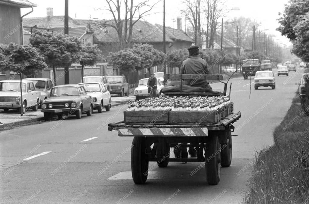 Életmód - Szikvízgyártó kisiparos Budapesten