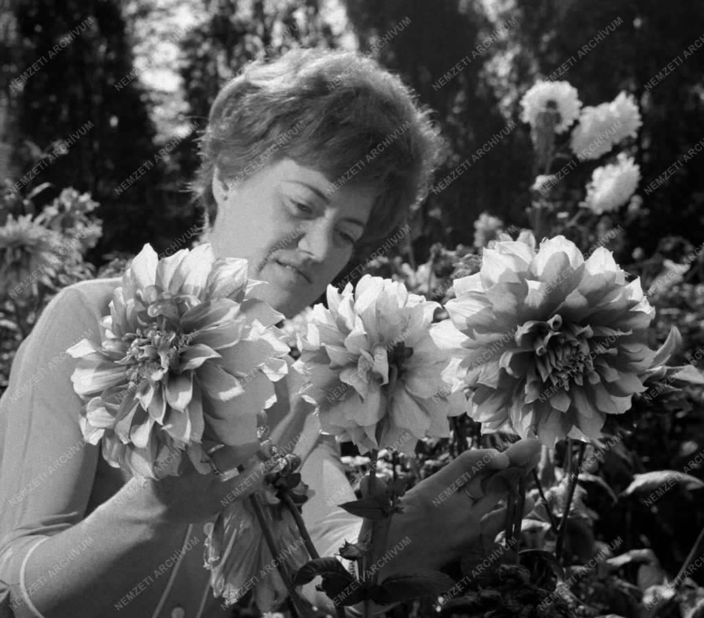 Természetvédelem - Szegedi József Attila Tudományegyetem Botanikus Kertje