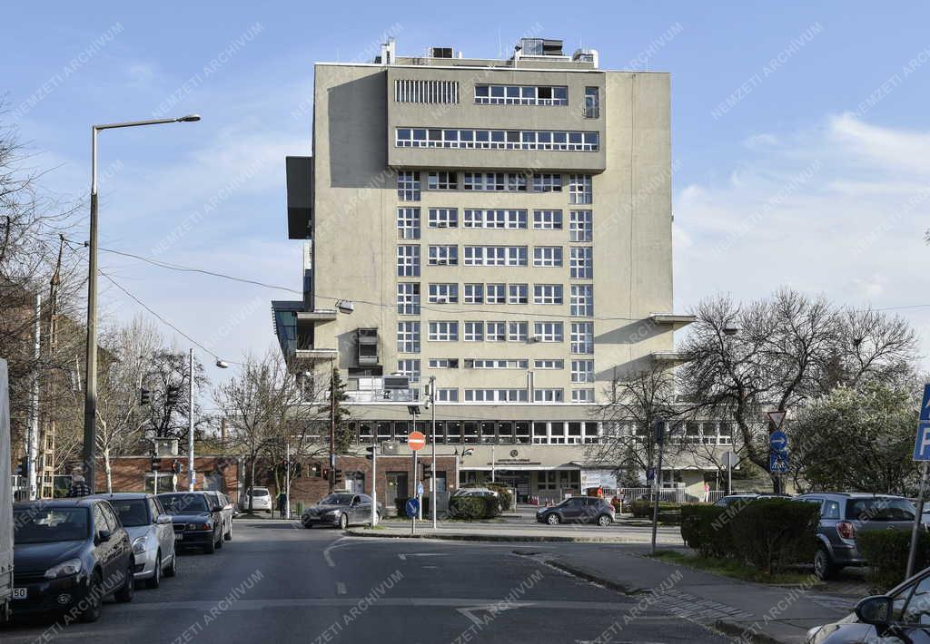 Egészségügy - Gottsegen György Országos Kardiológiai Intézet