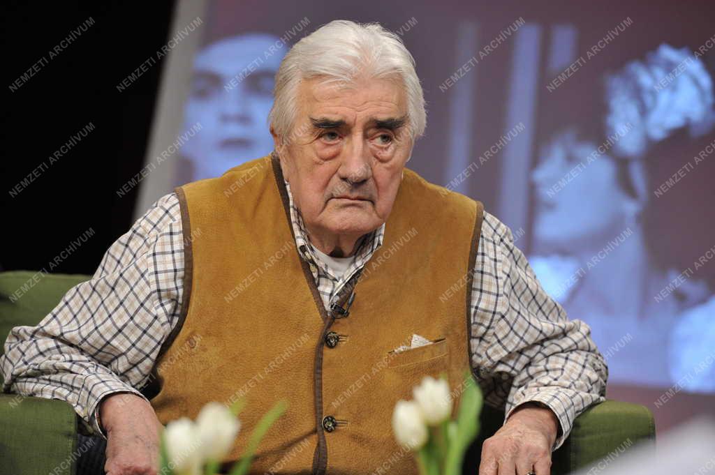 Televízió - Hogy volt?! - Peczkay Endre