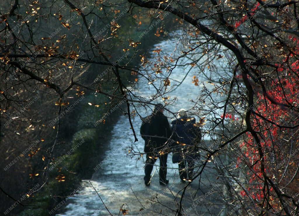 Budapest - Természet - Sétány a Gellért-hegyen