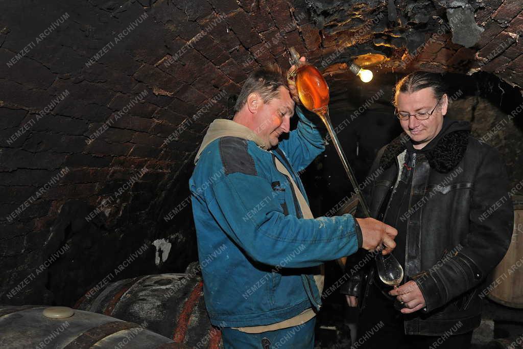 Borászat - Tokaj - A Paulay Borház borpincéje