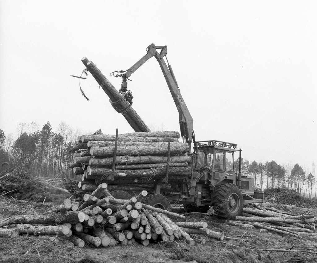 Gazdaság - Gépesítés a szolnoki fakitermelésen