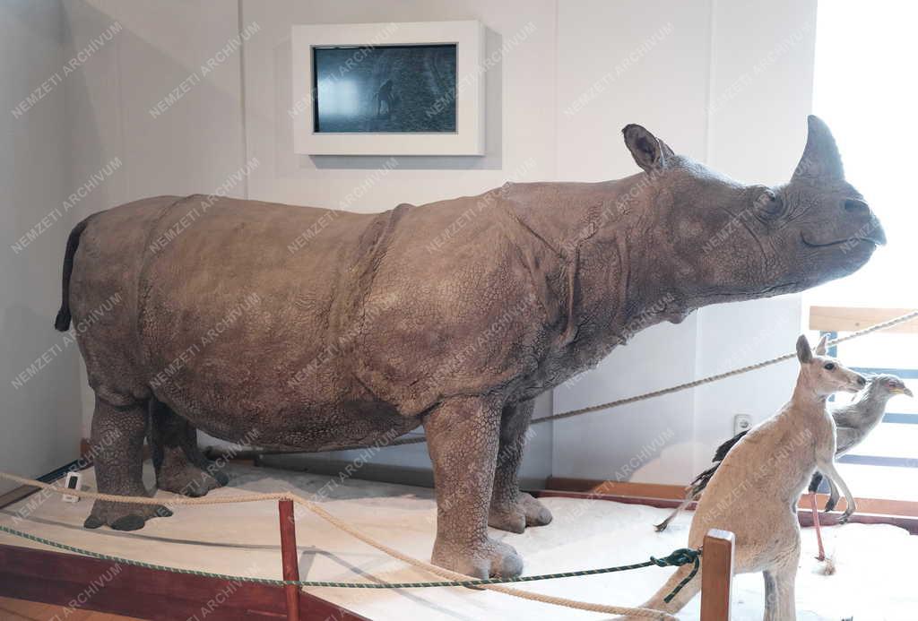 Kultúra - Budapest - Magyar Természettudományi Múzeum