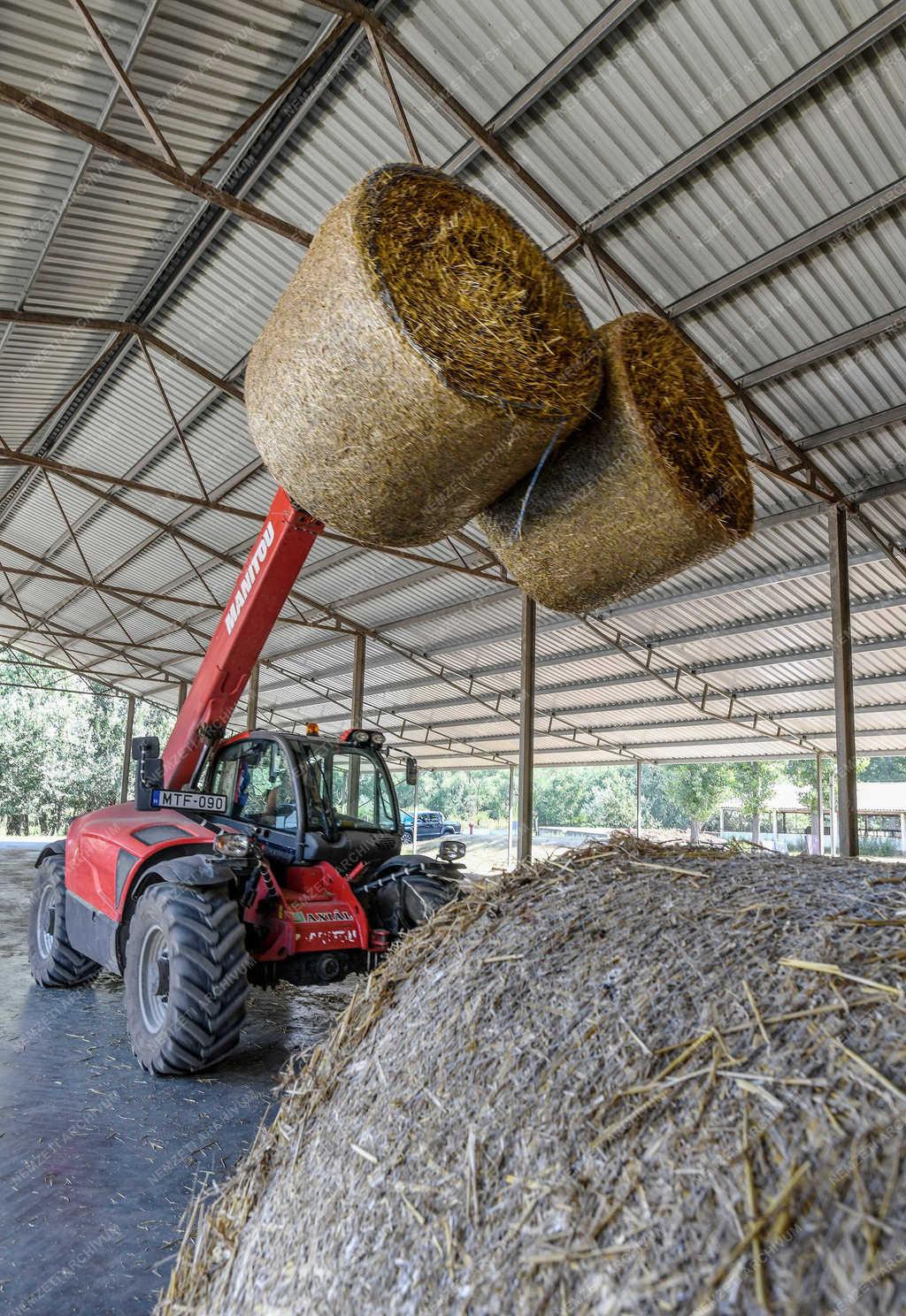 Mezőgazdaság - Hajdúnánás - Véget ért a búza aratása