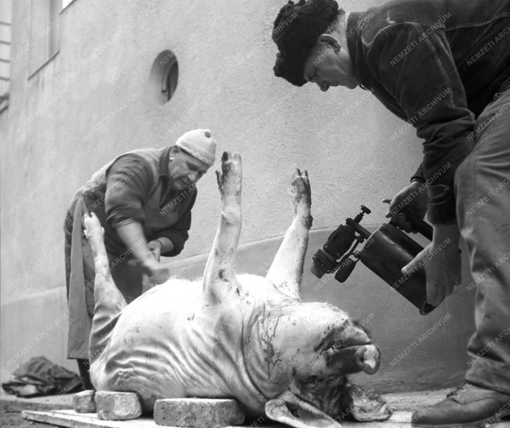 Életkép - Disznóölés Budapesten