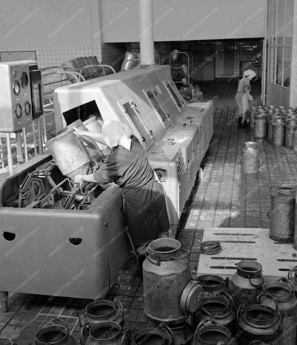 Élelmiszeripar - Próbatermelés a pécsi tejüzemben