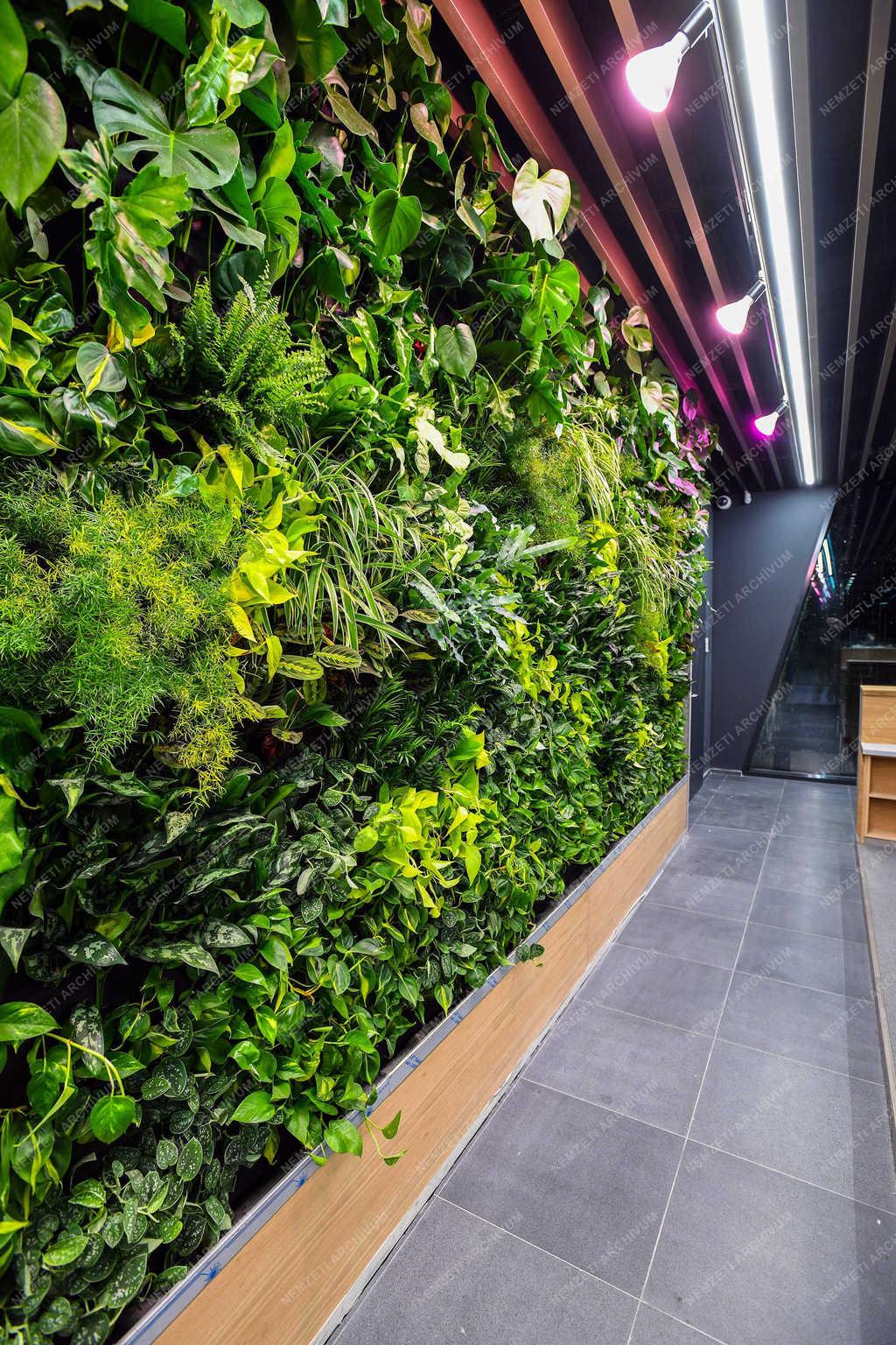 Építőipar - Debrecen - A Forest Offices műszaki átadása 
