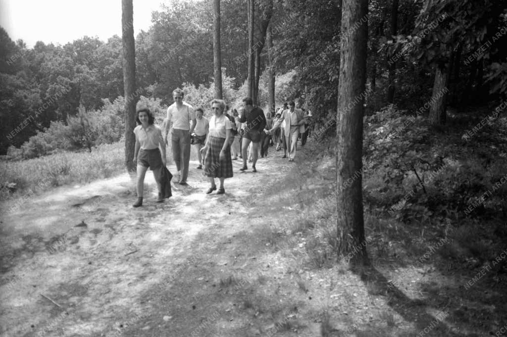 Szabadidő - Séta a soproni erdőben