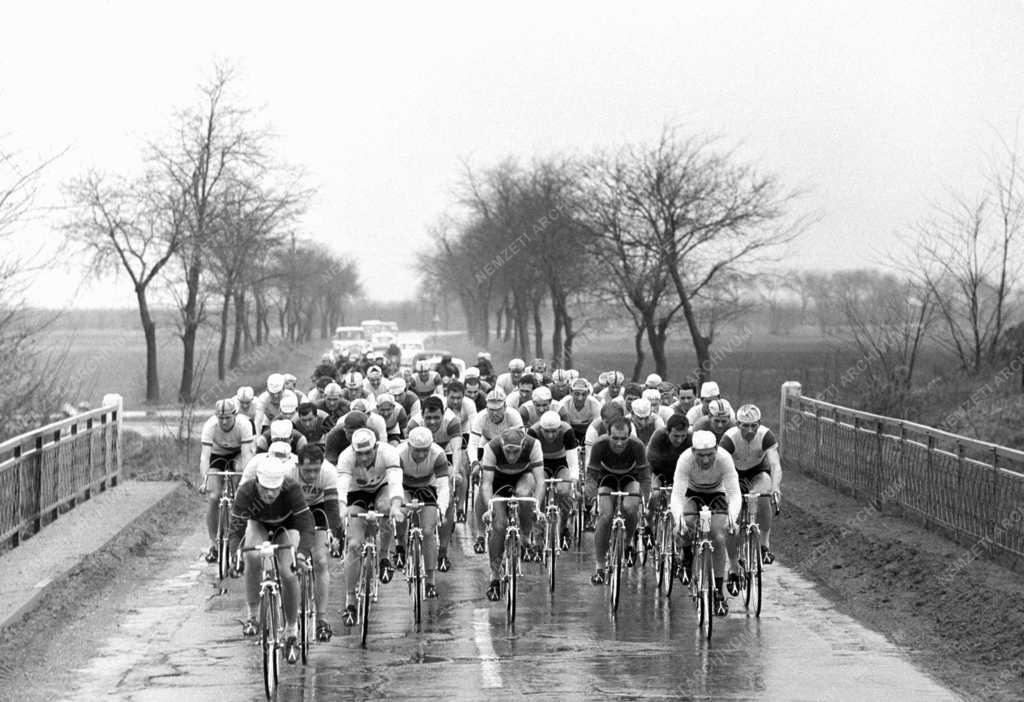 Sport - Országúti kerékpárverseny