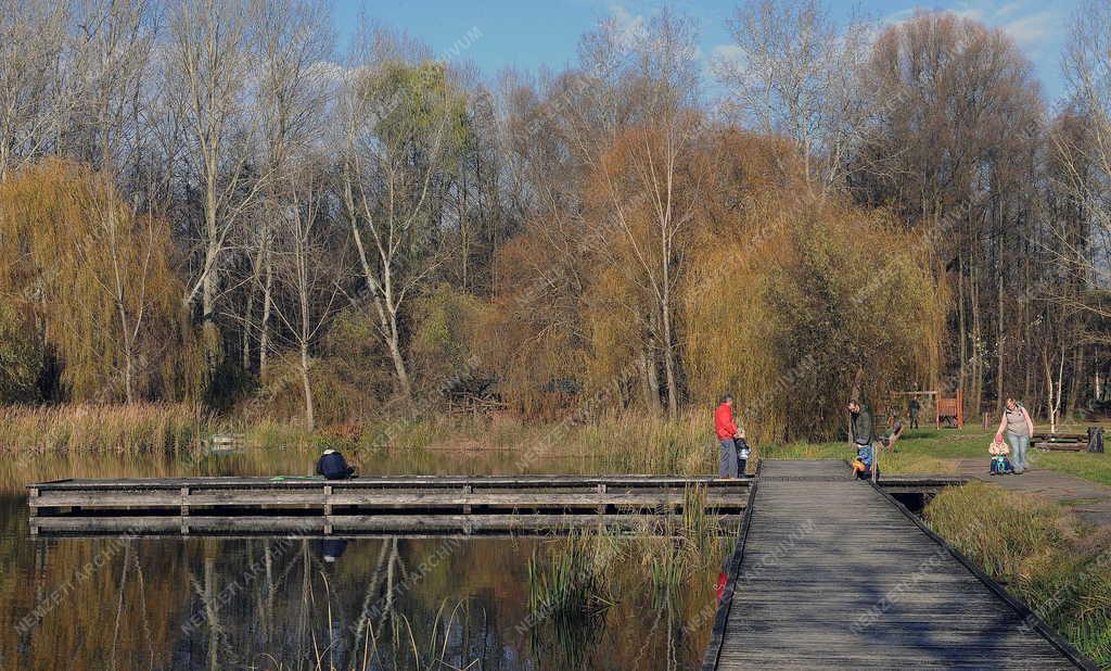 Természet - Debrecen - Vekeri-tó