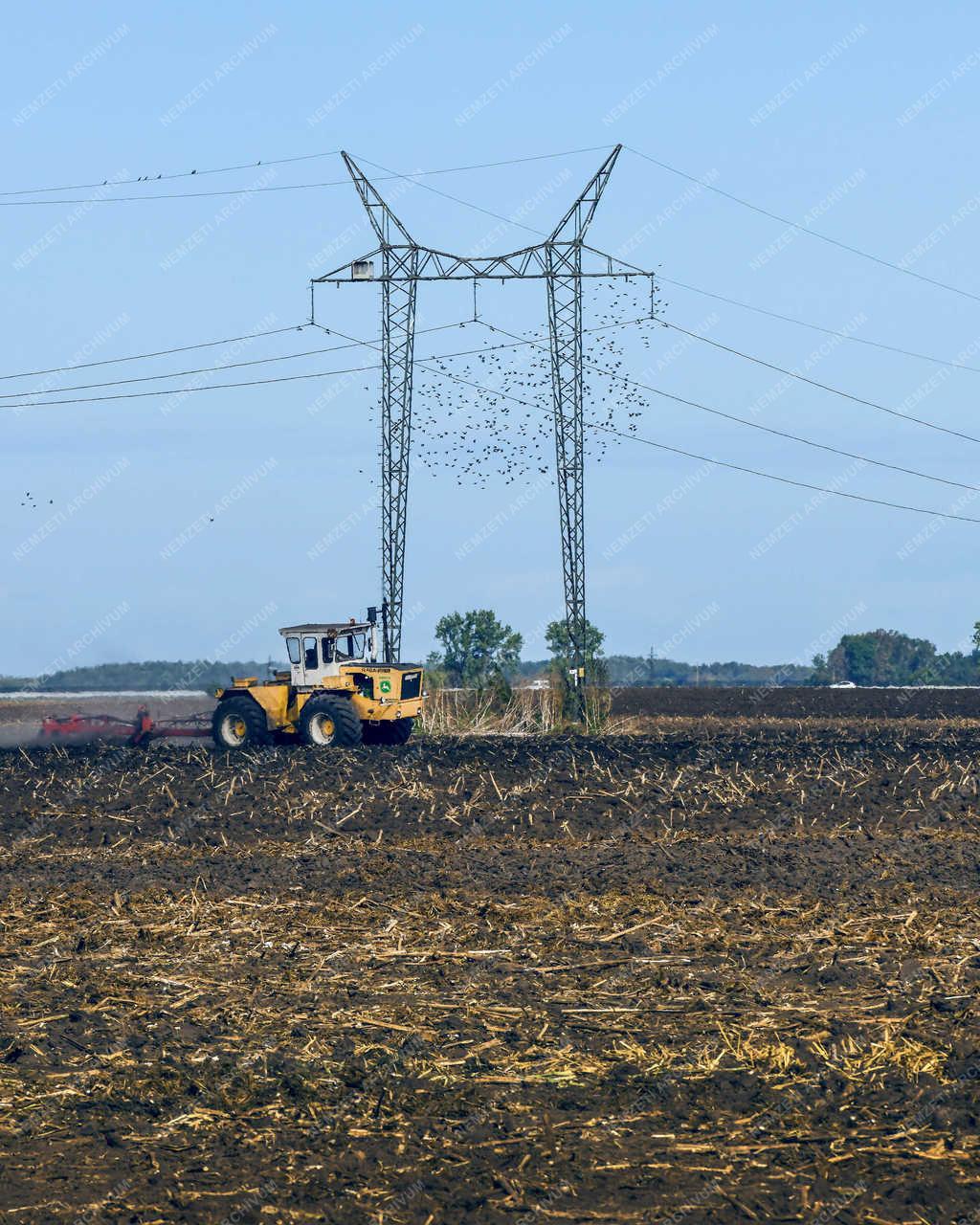 Mezőgazdaság - Hajdúnánás - Őszi talajmunkák