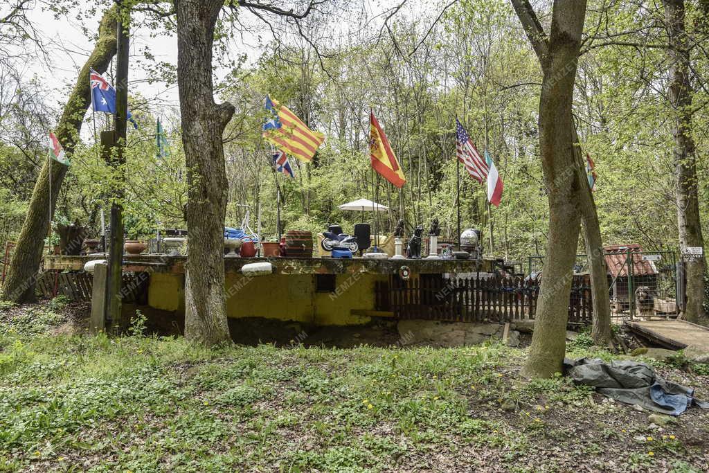 Természet - Szabadidő - Hűvösvölgyi Nagyrét