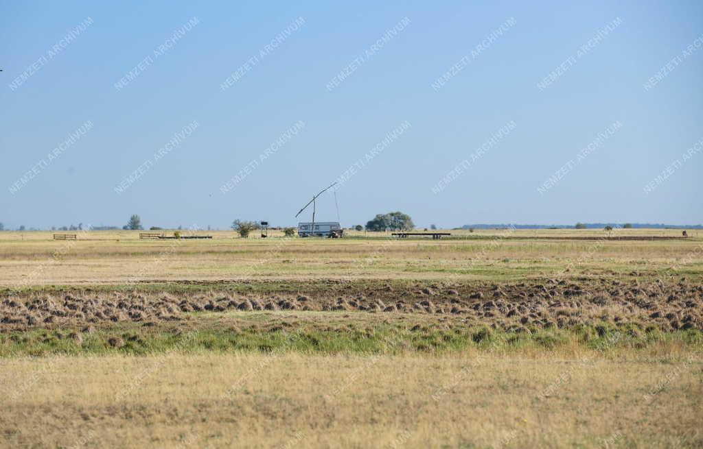 Mezőgazdaság - Aszály - Kiszáradt hortobágyi legelő