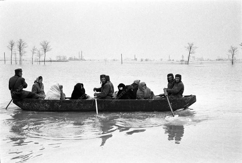 Mezőgazdaság - Árvíz Baján és környékén