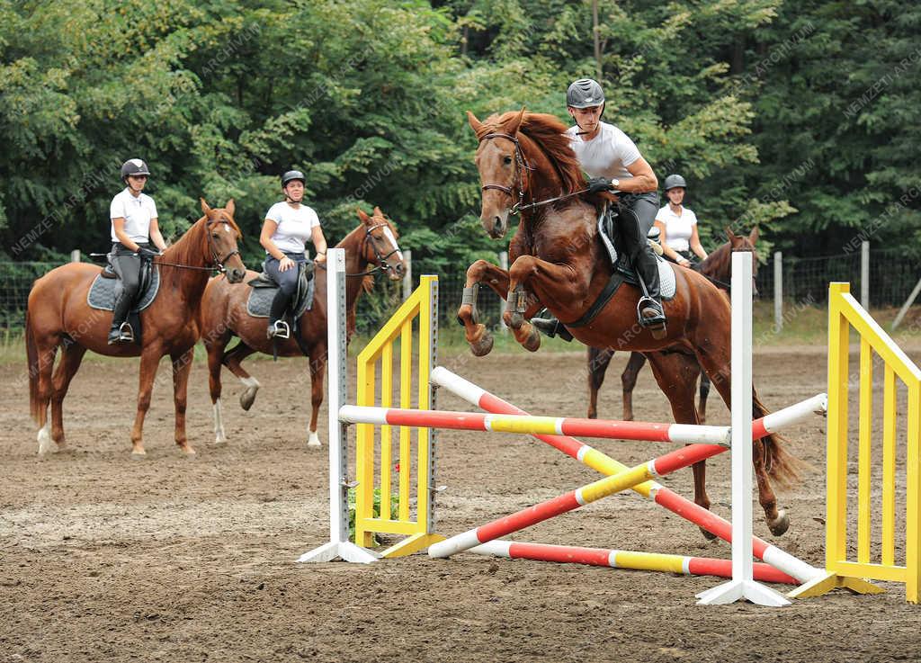 Lovassport - Debrecen - Egyetemi képzés
