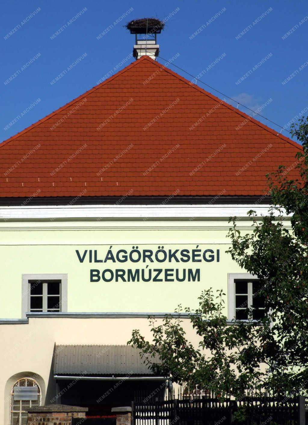 Vendéglátás - Tokaj - A Világörökségi Bormúzeum épülete