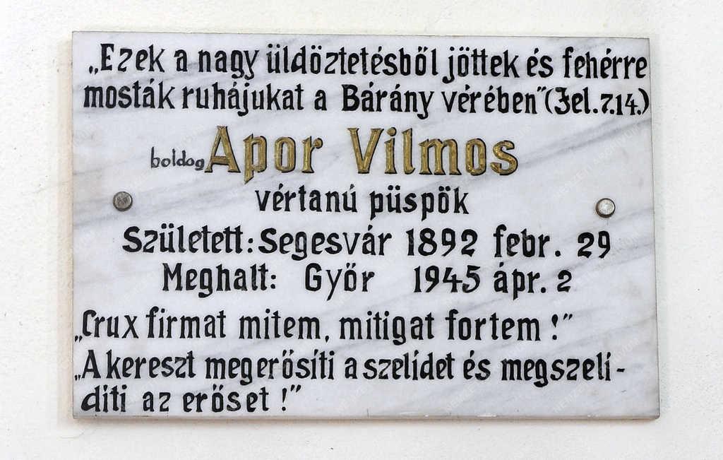 Emléktábla - Segesvár - Apor Vilmos