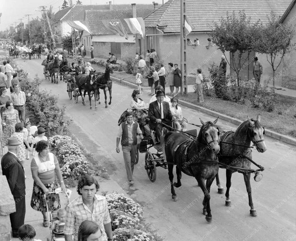 Folklór - Sárközi lakodalmas