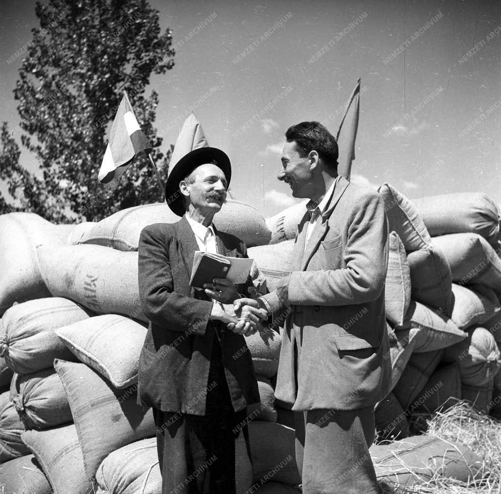 Mezőgazdaság - Téesz-szervezés