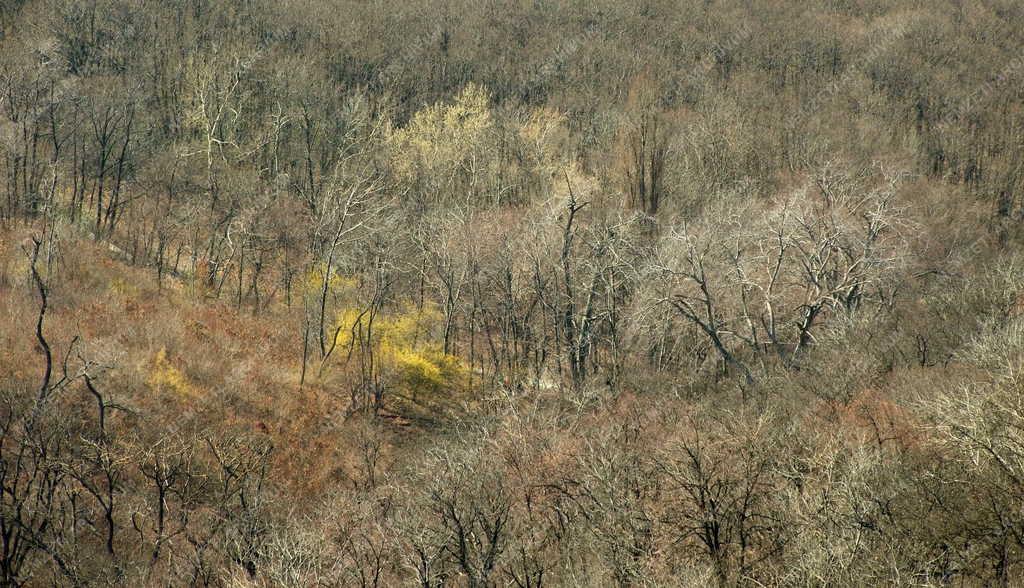 Természet - Budai hegyek