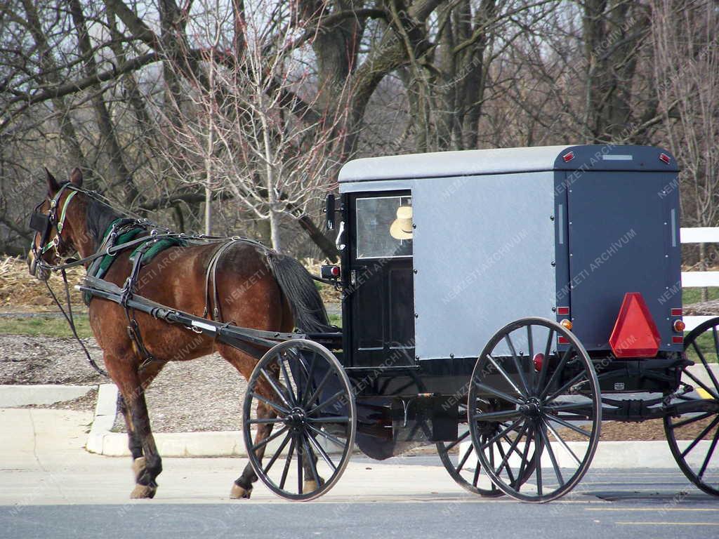 Táj, város - Amish bricska, Lancaster, Pennsylvania