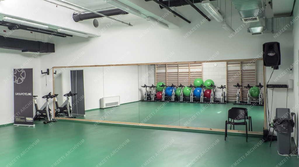 Sportlétesítmény - Budapest - A lágymányosi Tüskecsarnok 