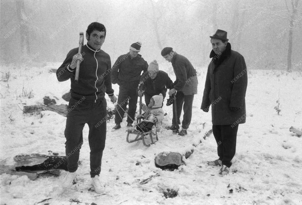 Sport - Ökölvívás - Olimpiai felkészülés favágással