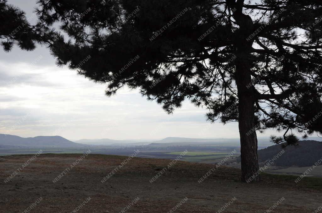 Tájkép - Boldogkőváralja - Kilátás a várhegyről