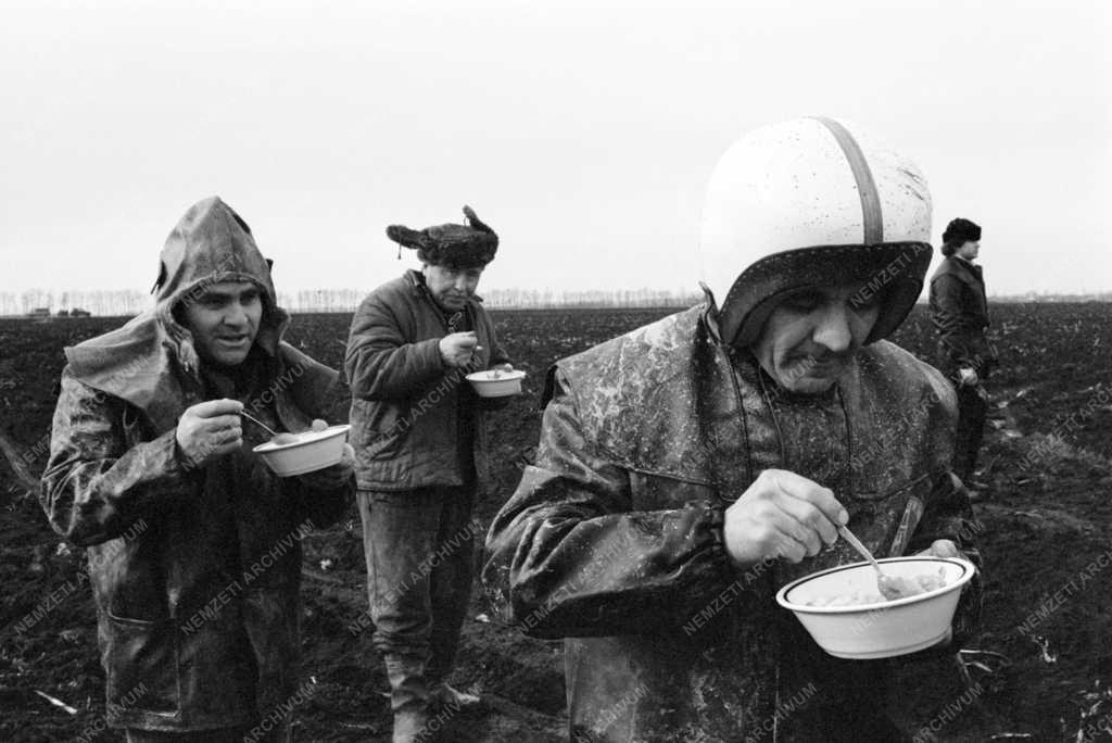 Energia - Gázkitörés Nagyhegyesen