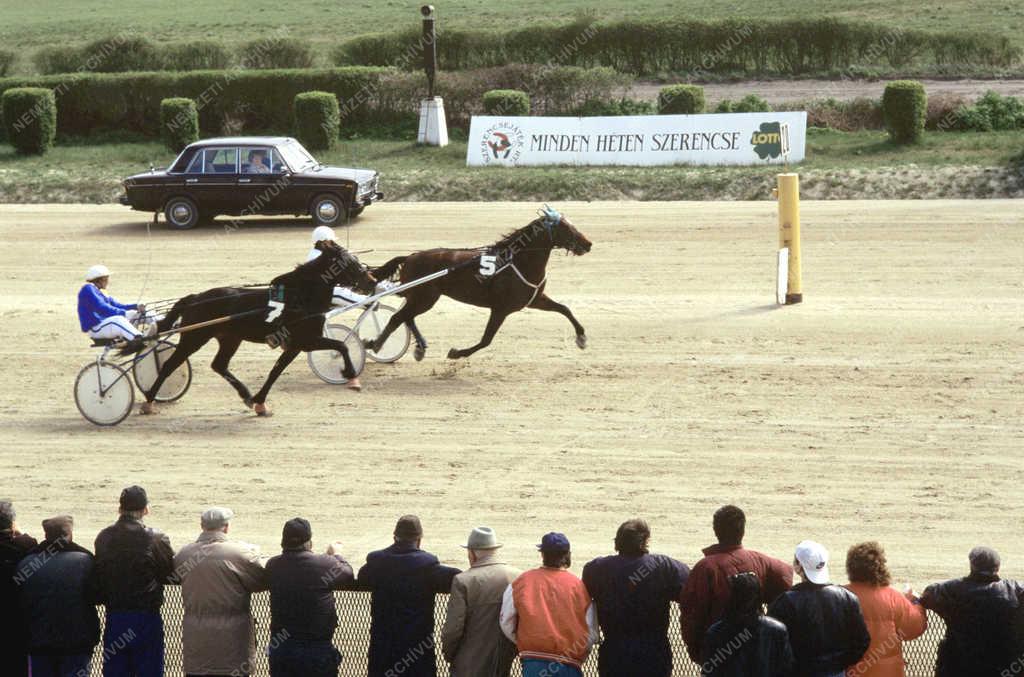 Sport - Lóverseny - Ügető