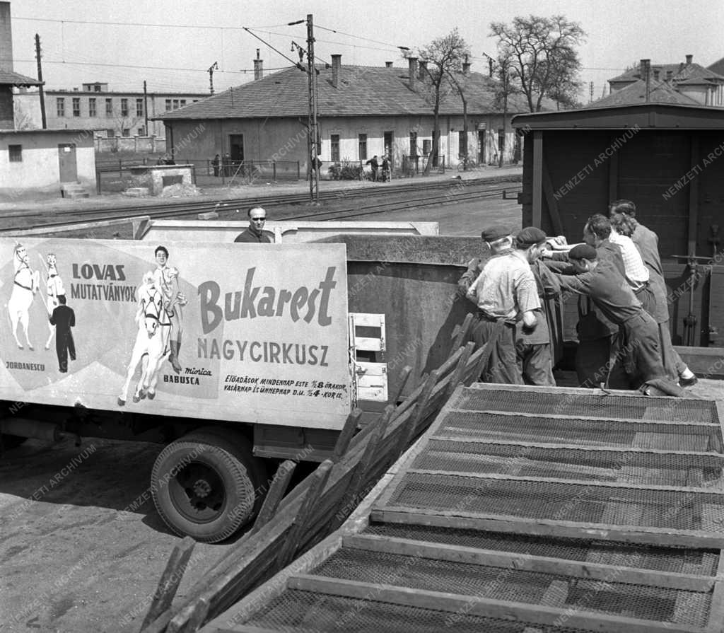 Kultúra- Budapestre érkezett a Moszkvai Nagycírkusz társulata