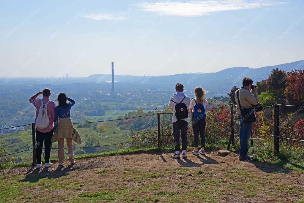 Tájkép - Budapest - Róka-hegyi egykori kőfejtő